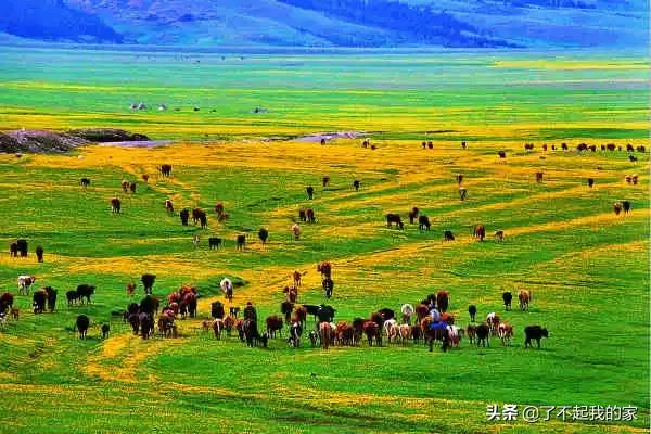 中国各地特产一览表(建议收藏)