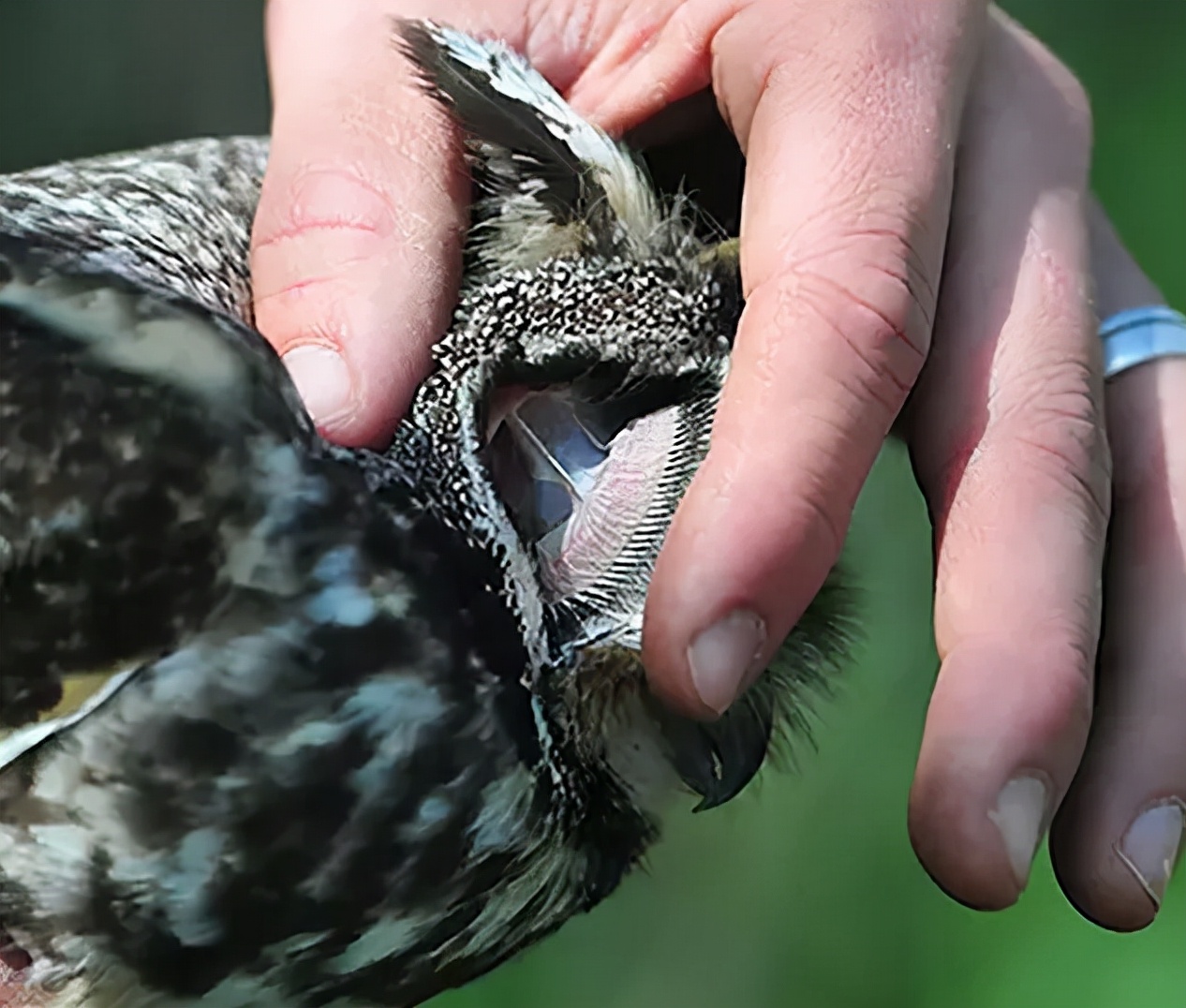 全身发抖照片,浑身发抖的图片