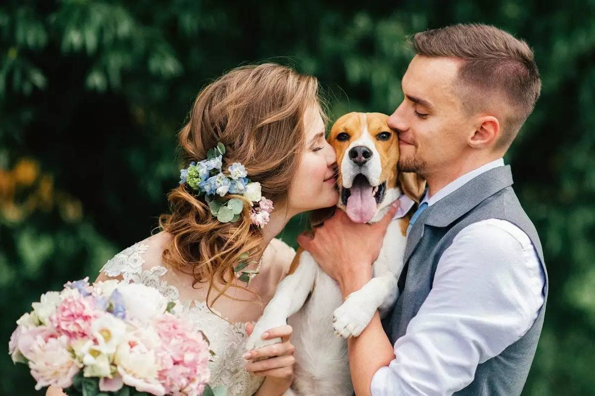 宠物狗结婚也是要仪式感的,给狗狗办婚礼的感受