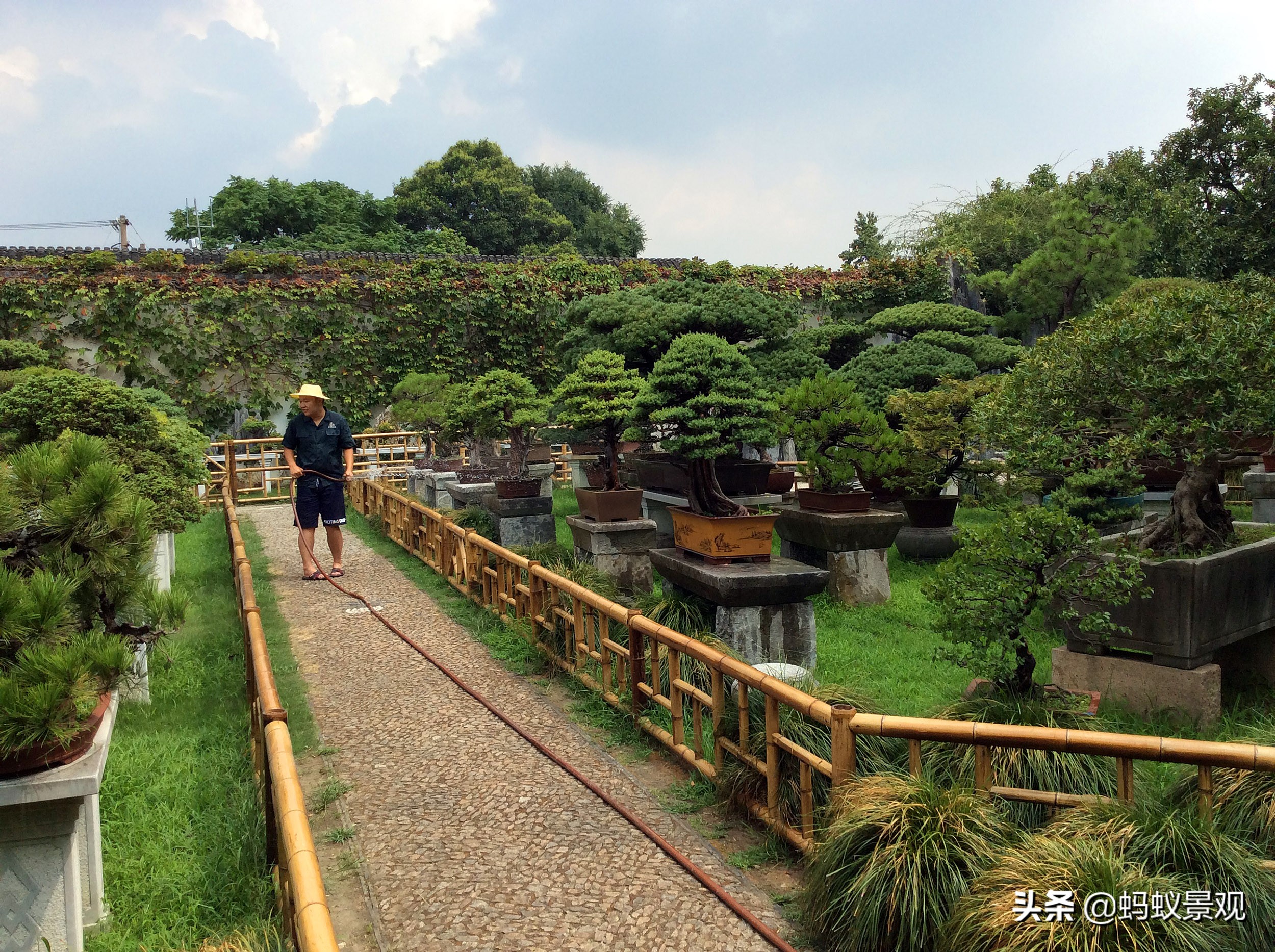 留园建筑分布图,留园建筑艺术分析