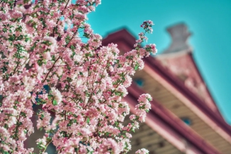 天津超级大学火了！占地3750亩，坐拥3大校区13个餐厅，装潢高级还有包间