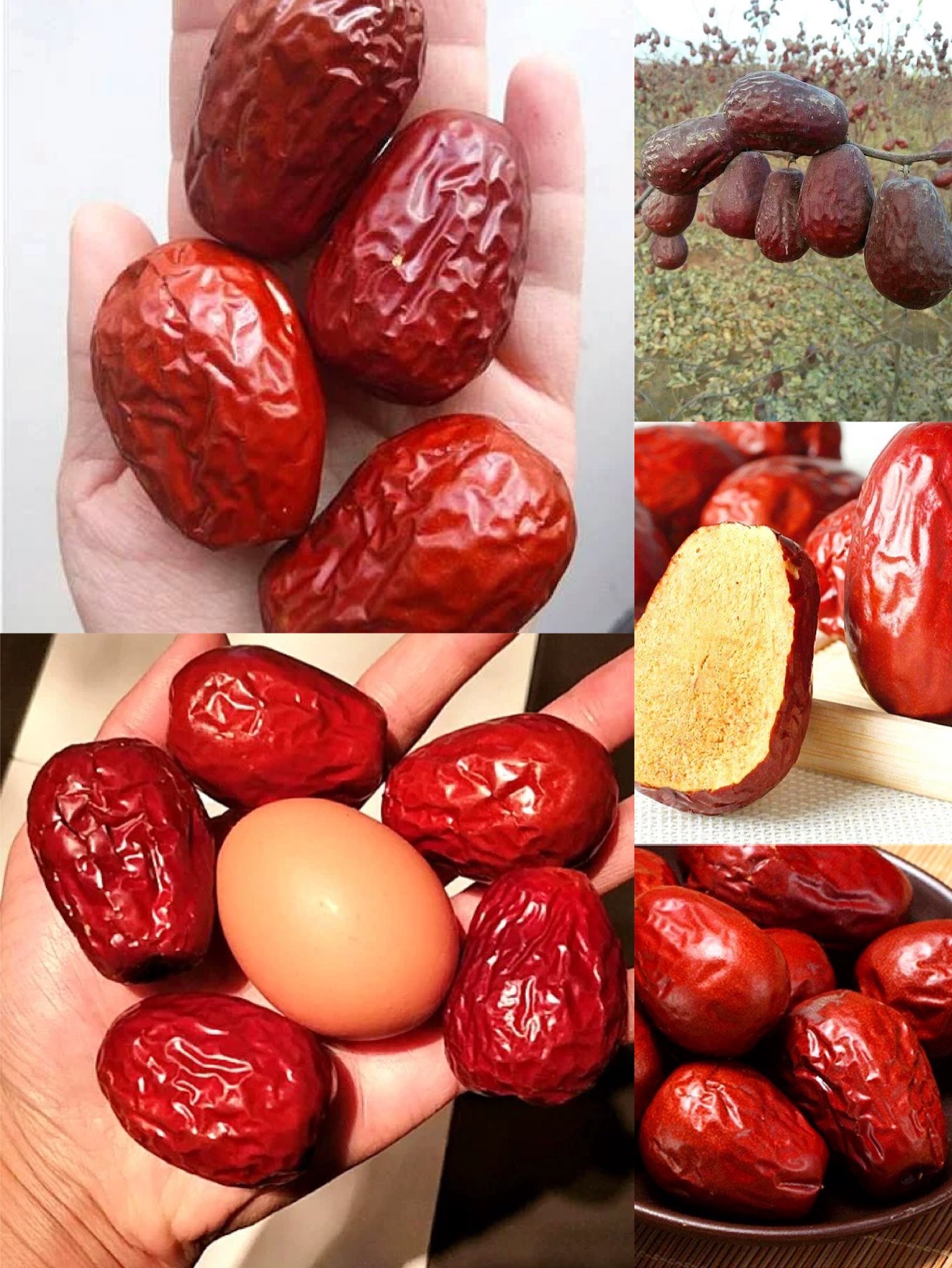 种草食品好物推荐爆款,种草日用百货爆款