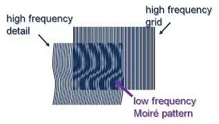 最美魔性条纹图片,最美的魔性条纹