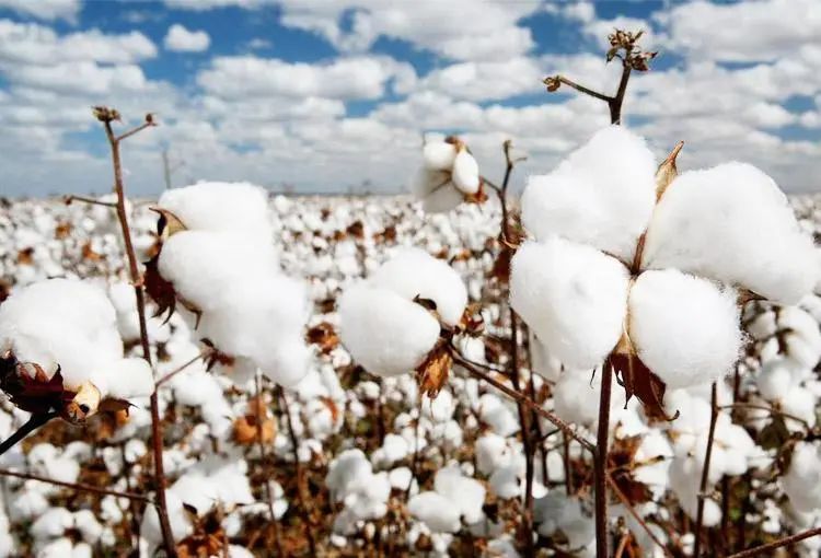 夏天盖这床抑菌又清凉软糯的大豆空调被,边睡边美容,舒服