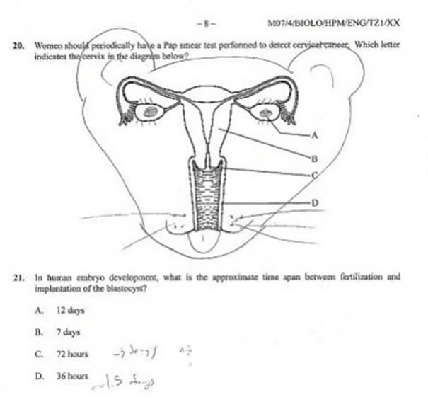 英语书上的涂鸦,课本涂鸦搞笑英语书