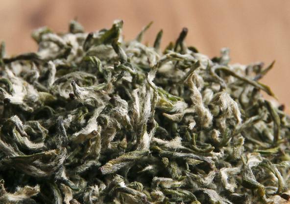 中国十大名茶哪几种最出名,中国十大名茶哪一款好喝