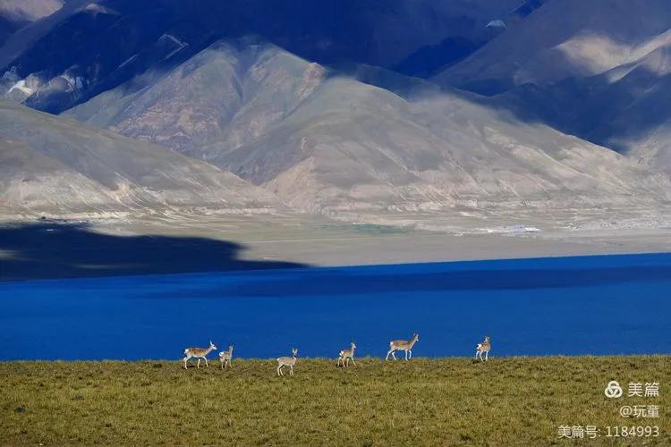 70岁的大爷用这篇游记告诉我们，阿里究竟值不值得去