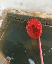 新婚快乐搞笑gif,gif搞笑动图合集图