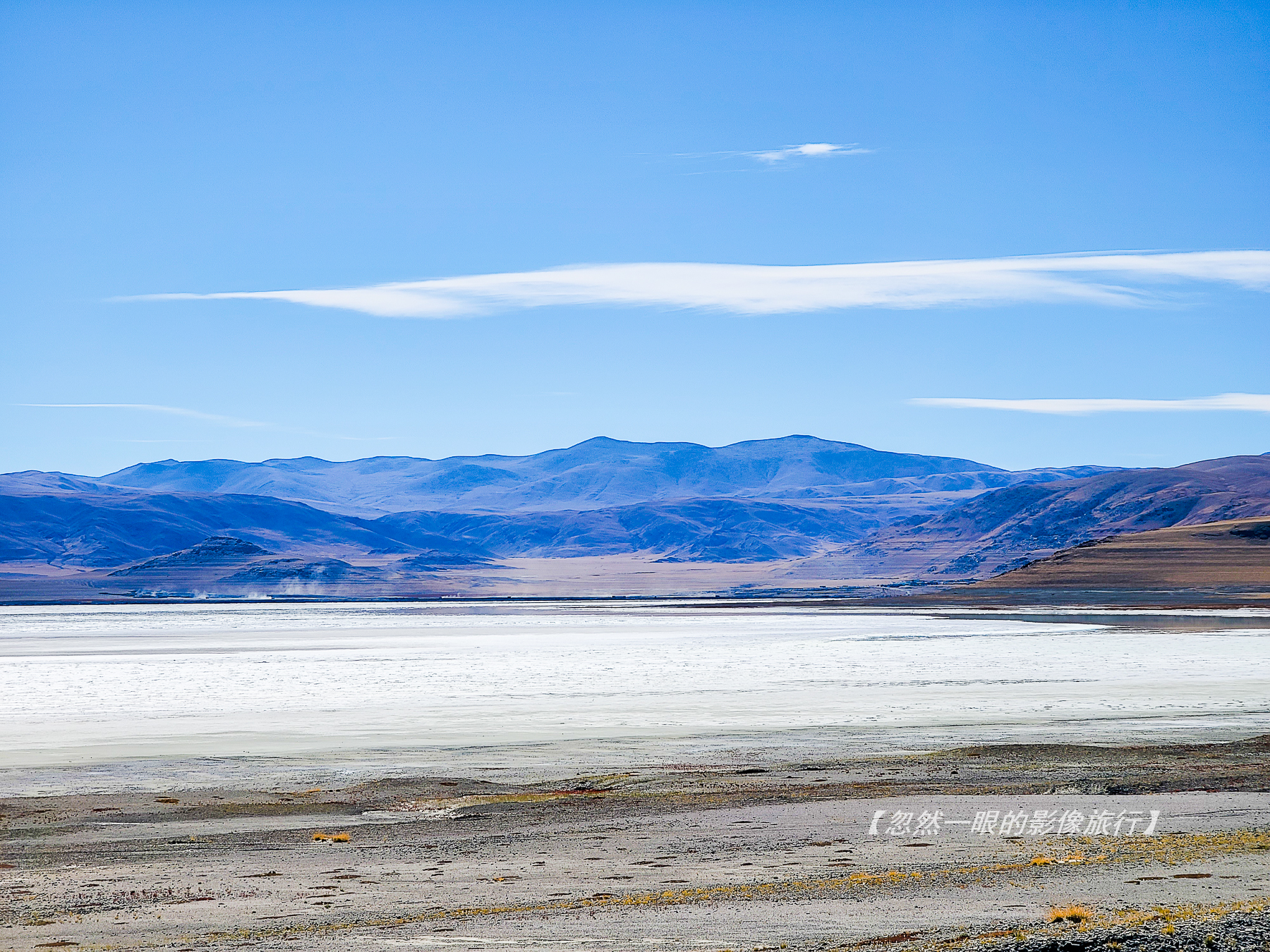 阿里无人区野狼出没,阿里无人区狐狸