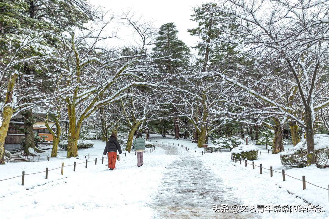 冬季日本的自驾游攻略,冬日游日本名古屋攻略