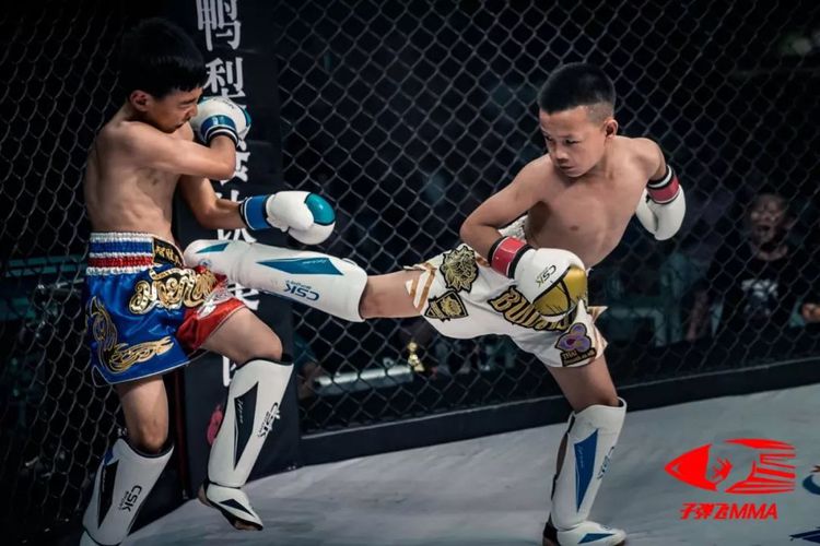 中国搏击神童张雄亮,张雄亮vs陈子豪搏击昆仑决