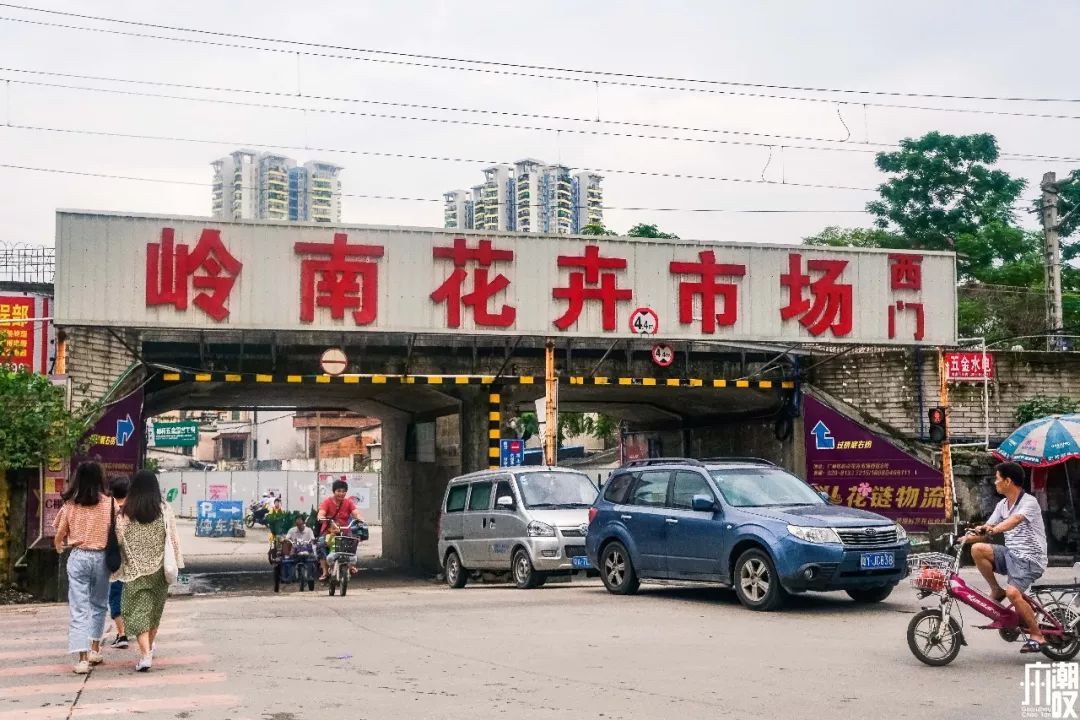 广州最大的花卉市场有哪些店,广州最便宜的花卉交易市场