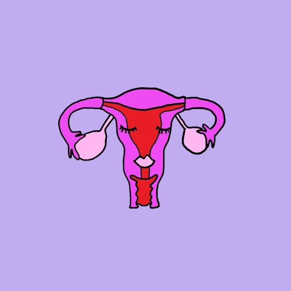 恶露有毒来做鹤顶红？我懂得多你别骗我！#辟谣#