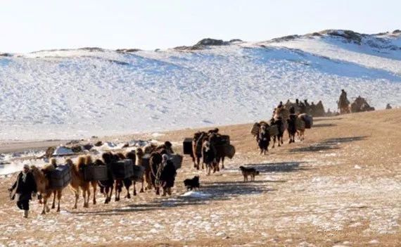 蒙古国人怎么称呼中国,蒙古国人称呼