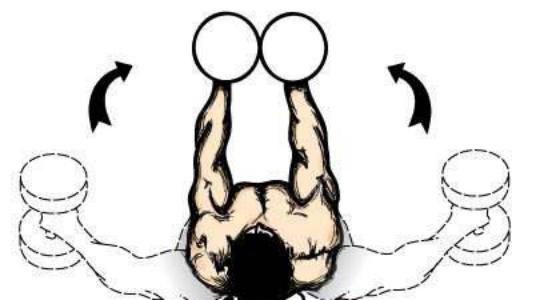 学格斗先学什么,想学格斗技巧报什么班