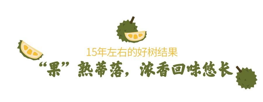 猫山王榴莲上市了吗,猫山王榴莲几月份成熟上市