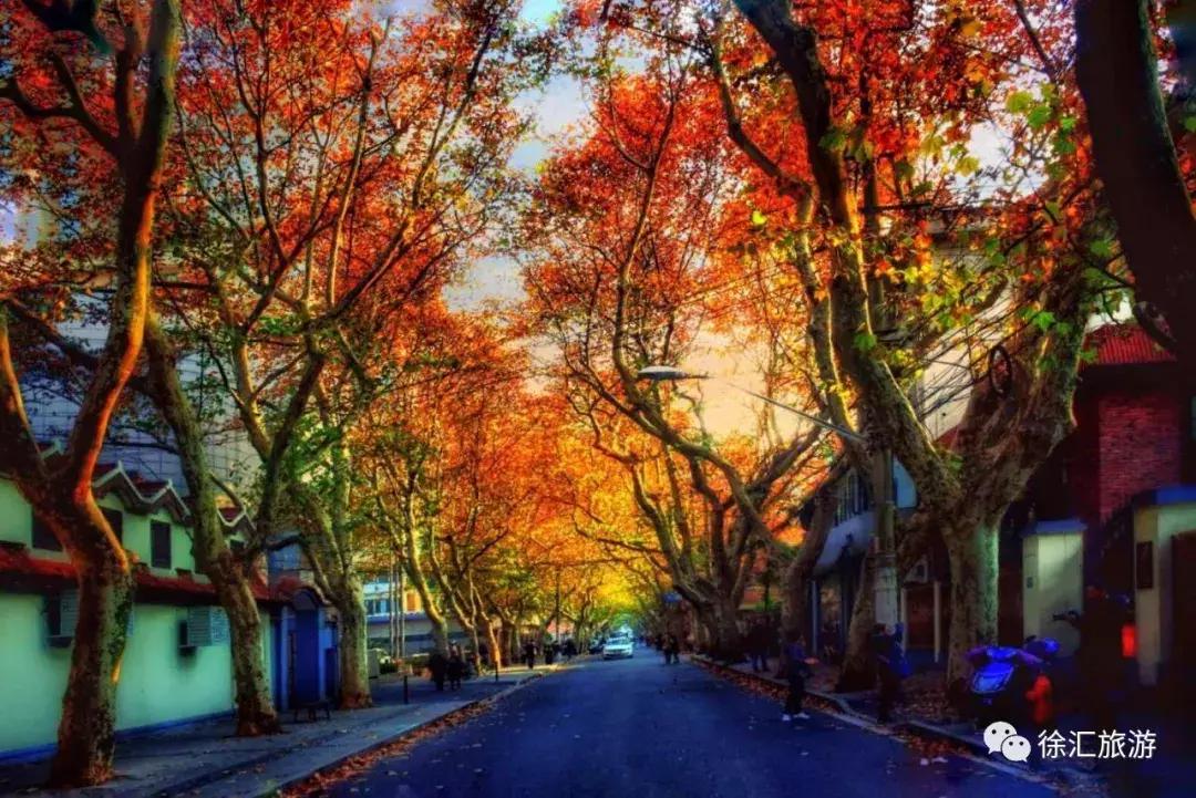 飞一般飞行感觉,飞一般的速度惊艳全场