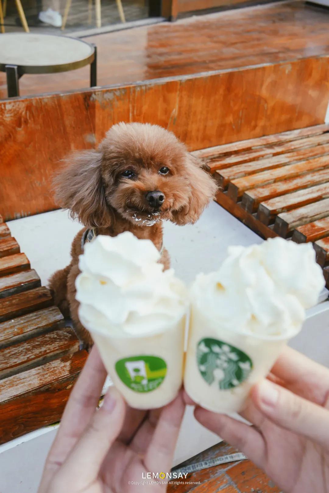 星巴克门店喝不到的隐藏款,星巴克饮品最新消息