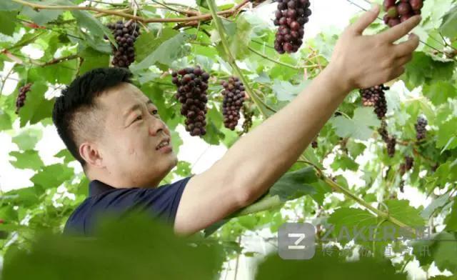 贵州决战脱贫攻坚走进万山,贵州脱贫攻坚视频