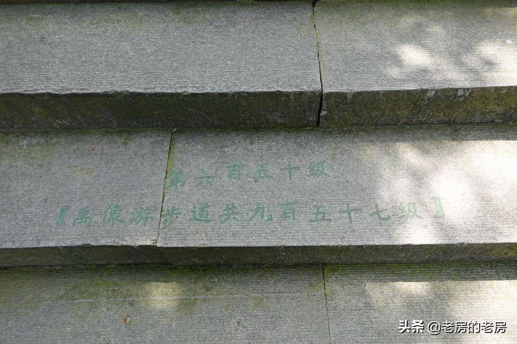 最贵是否最强？Vlog神机索尼RX0M2迷你黑卡体验