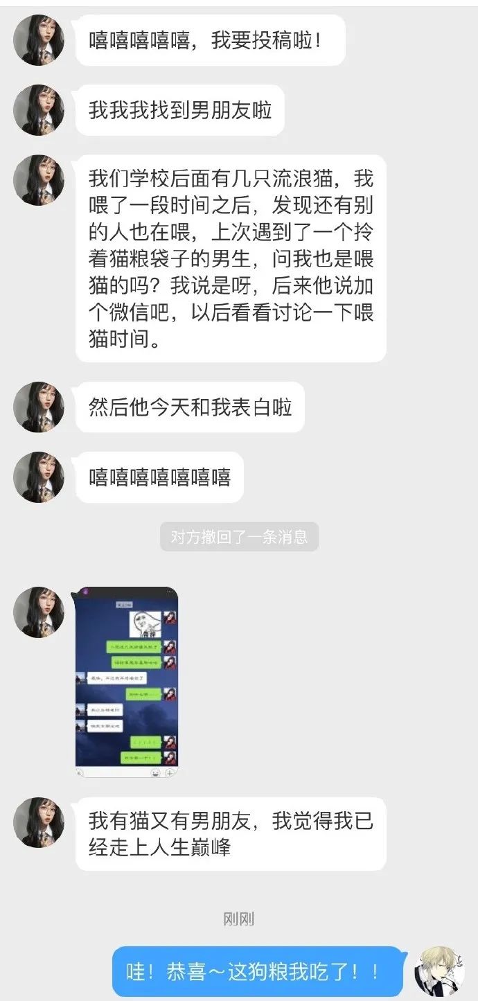 给我家猫新交了一个嘚瑟的朋友,我家猫送亲戚了准备再养一只猫