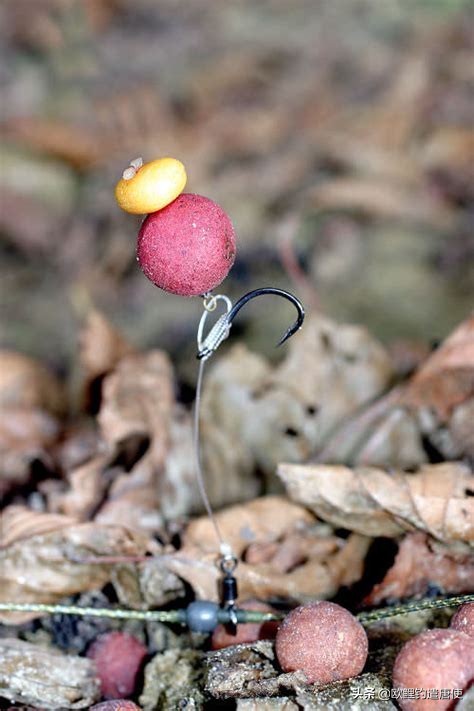 拉饵压几目浮漂好,怎样从浮漂判断饵的状态
