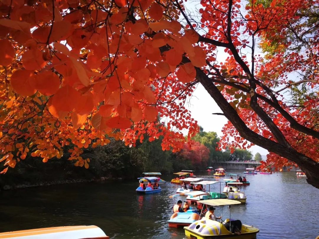 济南适合带娃去的公园,济南适合遛娃的景区