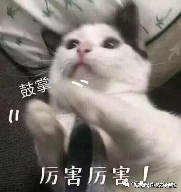 立夏初次见面视频,立夏和好朋友