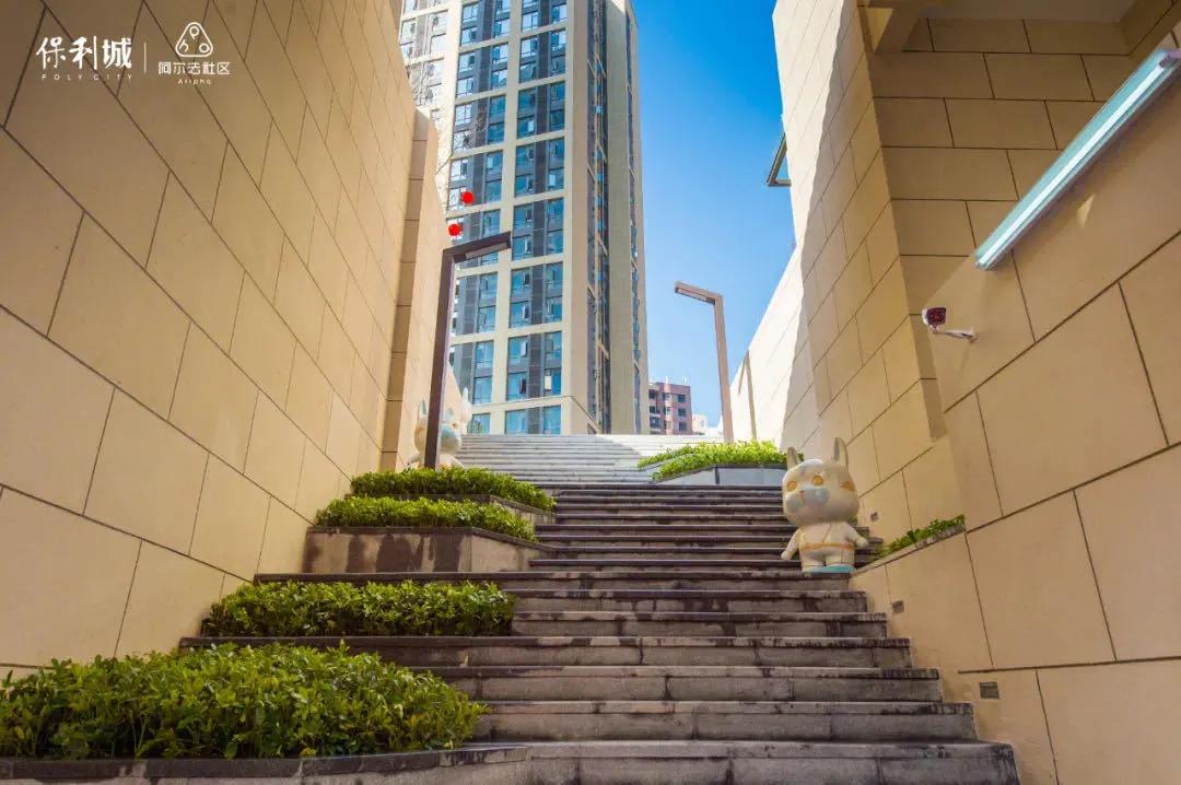 双十一！这款产品刷爆晋江朋友圈