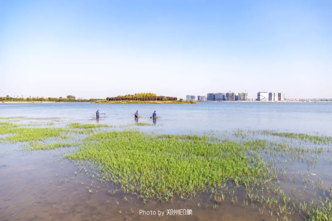 郑州长寿山旅游景点免费开放,郑州只有河南景点免费吗