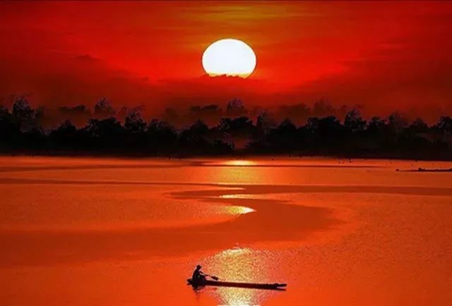 浸入阑珊｜文：这把伞诵：何家睦指导老师：孔凡美