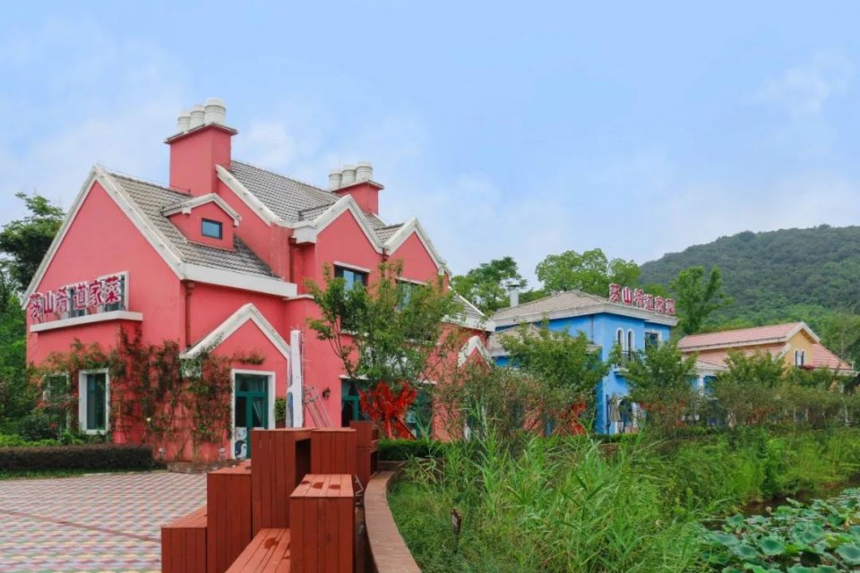 茅山风景区金坛美食推荐,茅山老鹅有名气