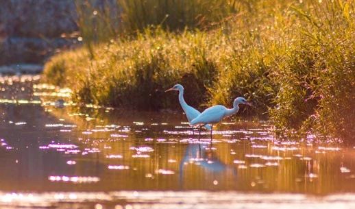 海导书|珠海·淇澳岛超干干干货攻略！一册带走，立马上海岛