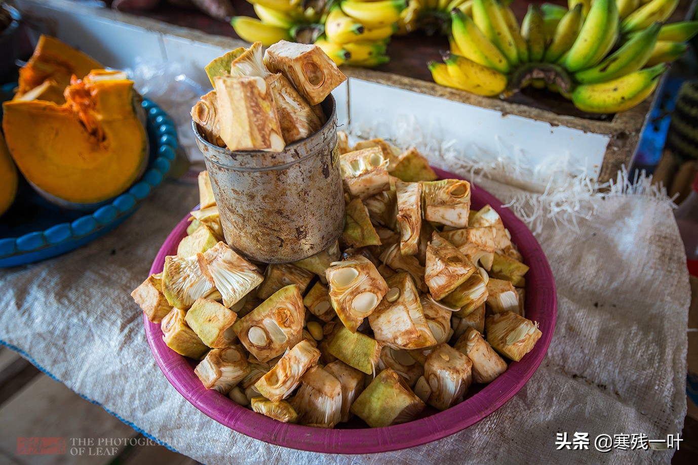 印尼美娜多土特产,印尼美娜多动物菜市场