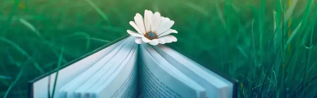 独立学院和普通本科有什么区别吗,独立学院与普通本科有什么区别