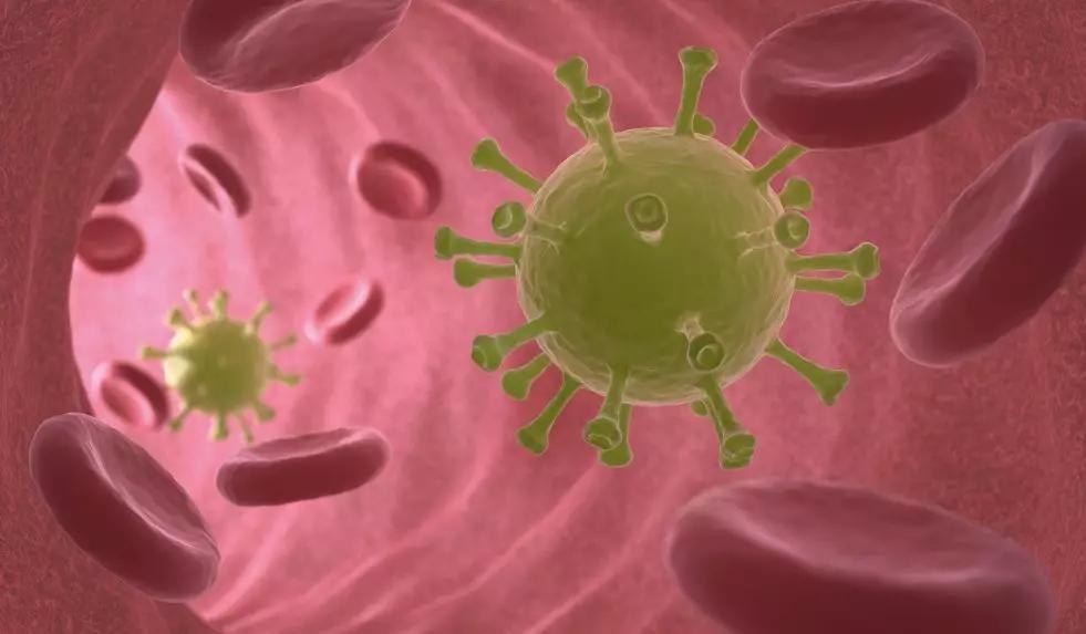 心脑血管疾病容易感染流行病毒吗,为啥病毒这么难治疗