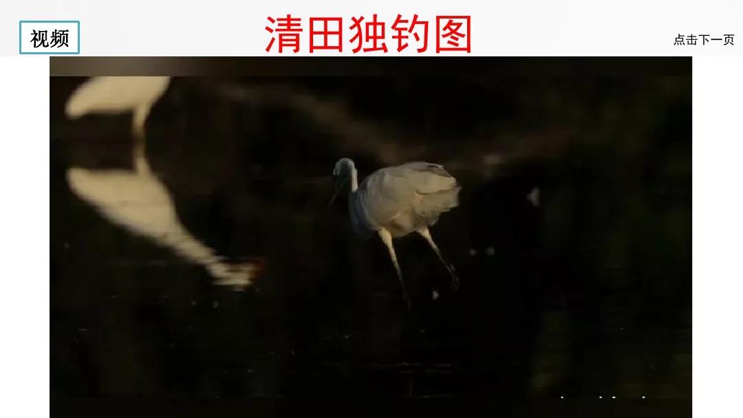 五年级部编版语文白鹭讲课视频,部编小学语文五年级上册白鹭课件