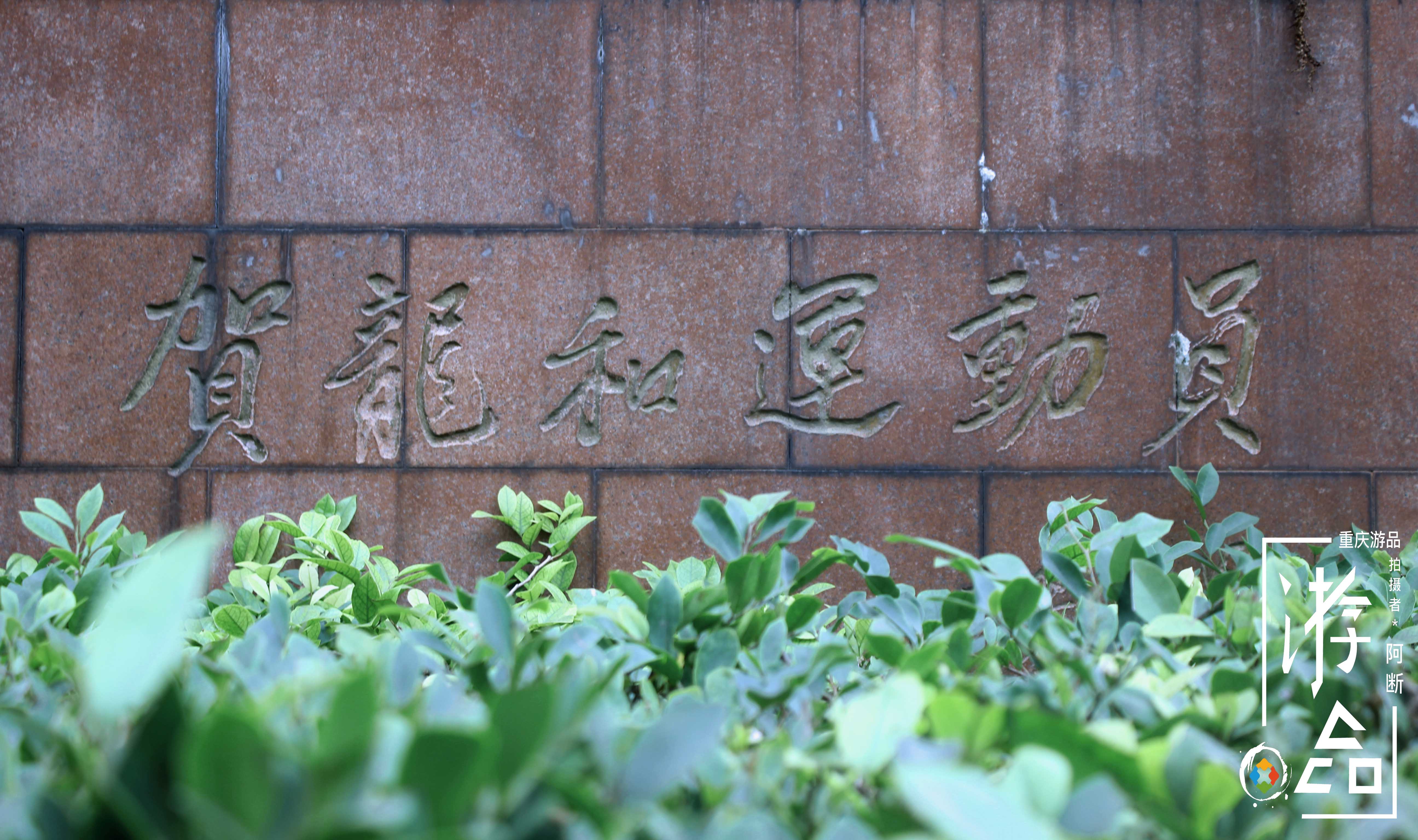 重庆大田湾体育场最新消息,重庆大田湾体育场焕然一新