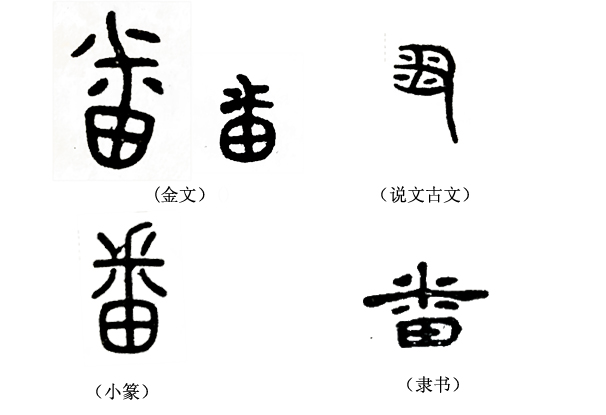 《说文解字》第124课：了解字义，“釆”和“采”就不会搞混了