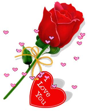 5201314，送你999玫瑰花，祝你爱情甜甜蜜蜜