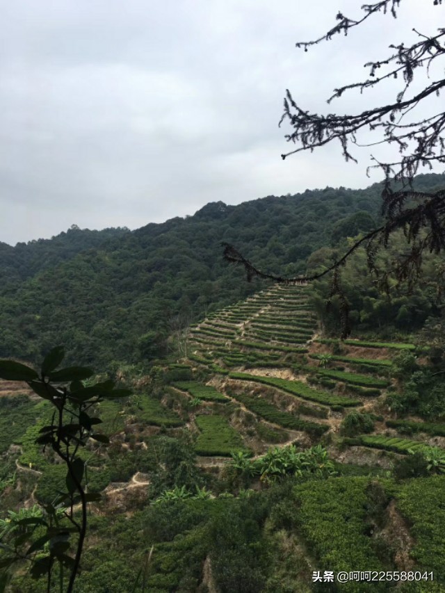 假日山村游玩,假日凤凰山旅游攻略