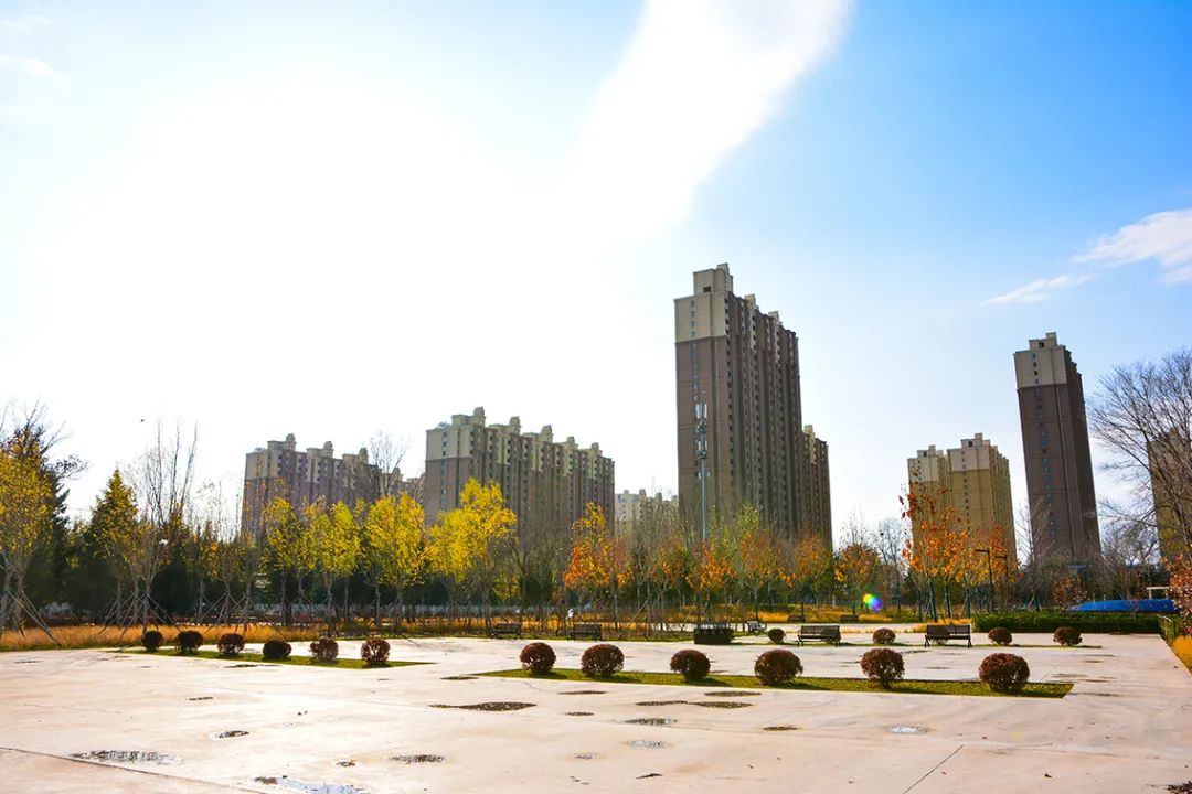 春意盎然北京五大公园,北京区级综合性公园