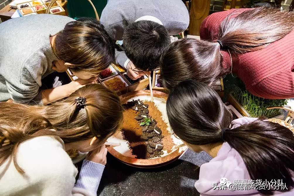 盘点网红肥胖,长肉网红