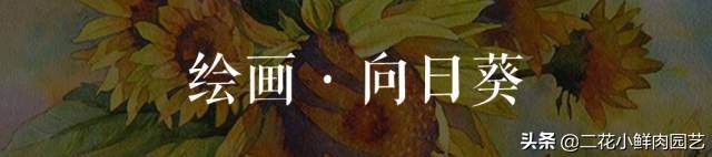 100种花卉绘画,100多张花卉线描手稿素材赶快收藏