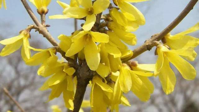 十二星座巨蟹和天蝎兄弟情,天蝎男在十二星座里的排名