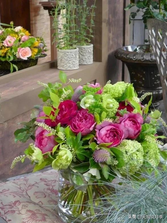 月季控对美的极致追求，尽在伊芙系列