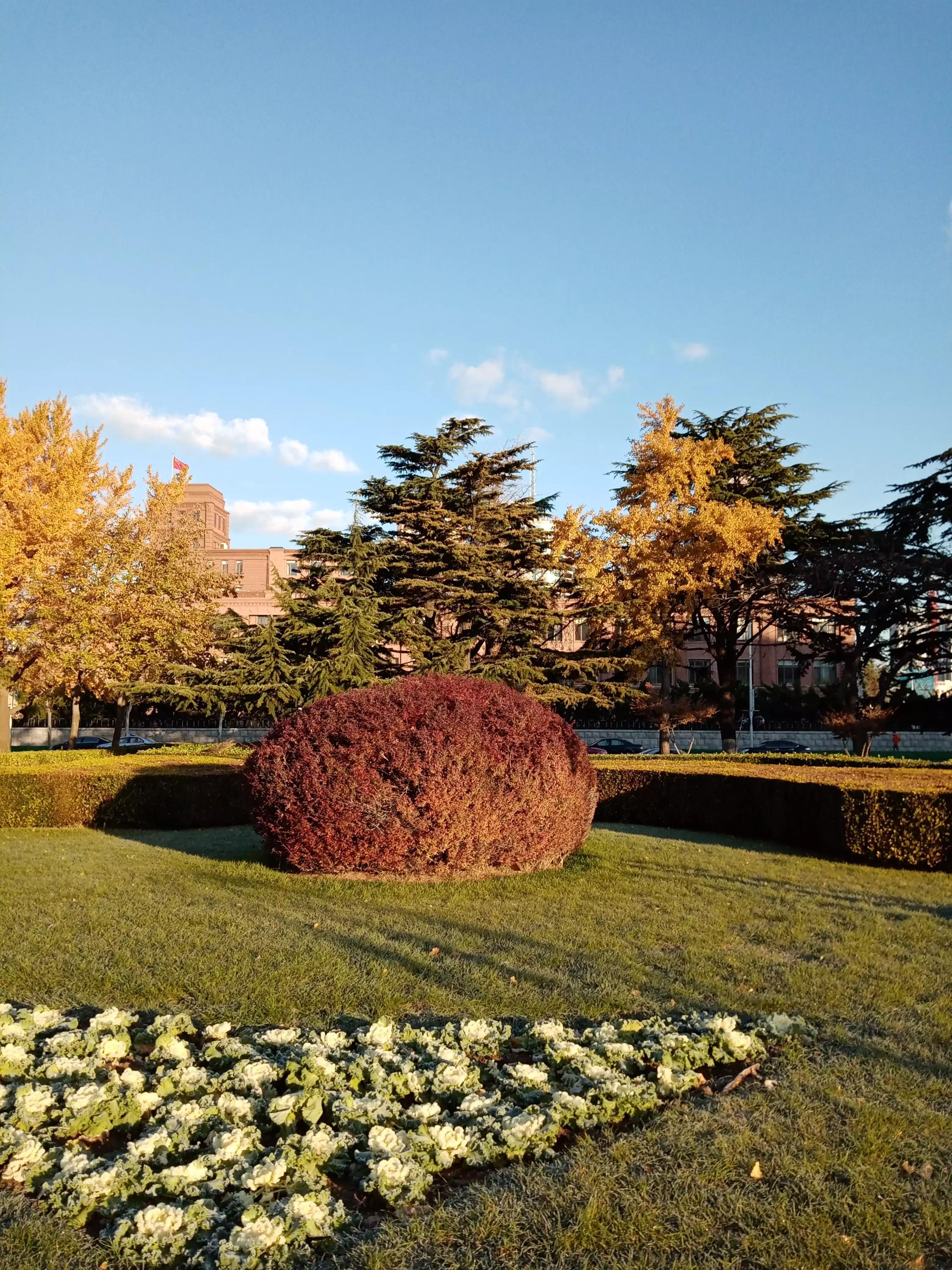 美丽大连,最美大连人民广场