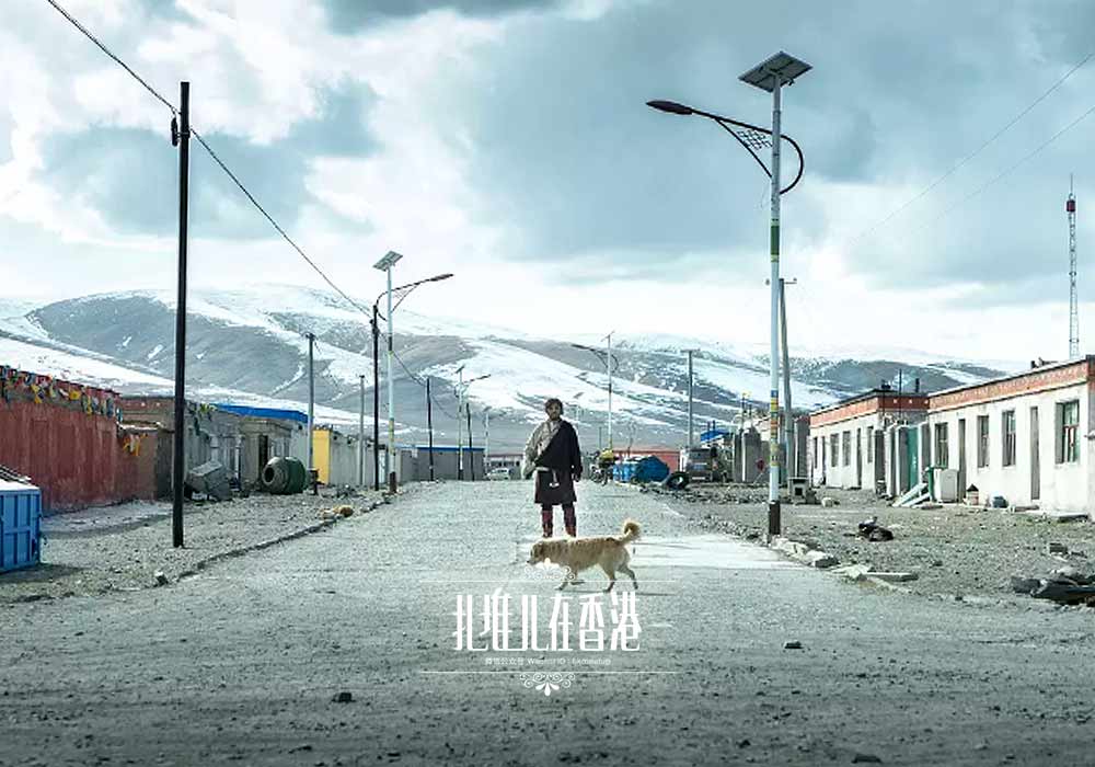 奥斯卡提名的香港电影,香港第一部入围戛纳电影节的电影