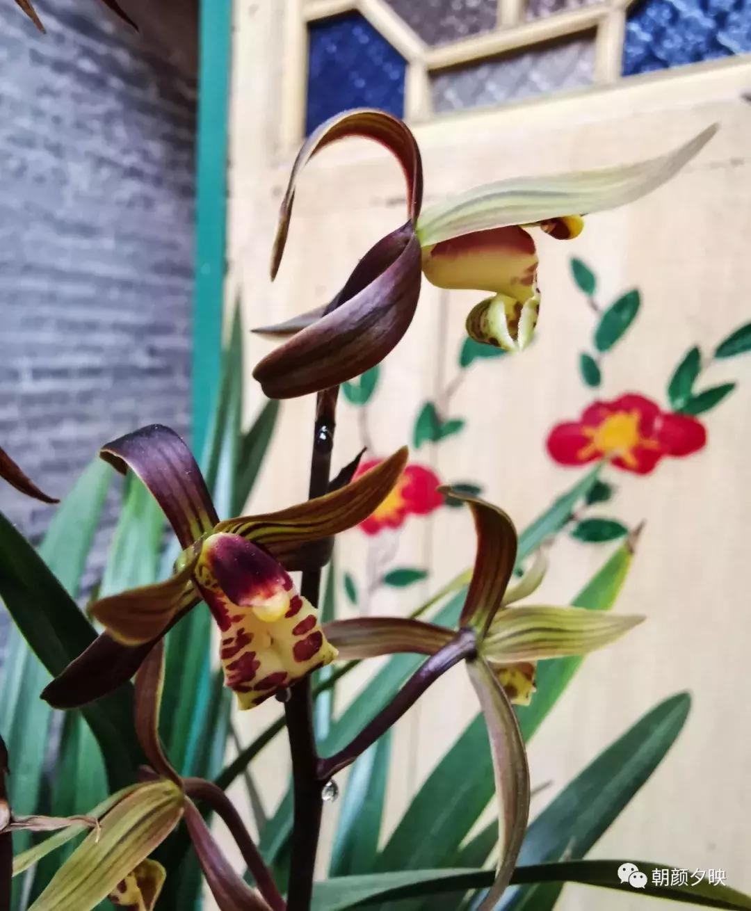 老屋焕新,老屋翻新中式