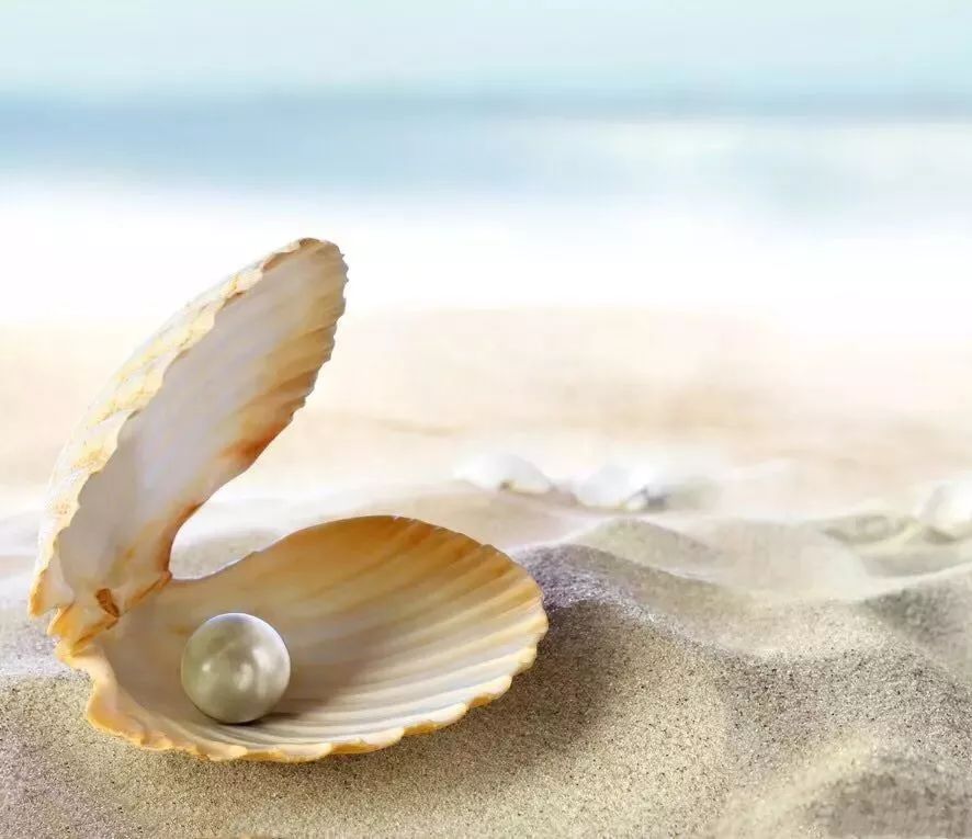 女明星们的婚礼珠宝，谁说只有“鸽子蛋?